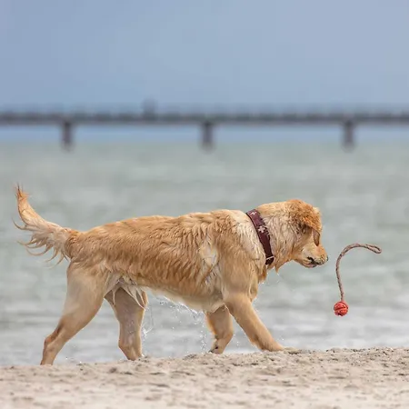 Marco Polo - Komfort Und Erholung Zwischen Ostsee Und Bodden Wustrow (Fischland)